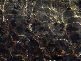 lake bottom, autumn leaves on the sand covered with water, texture, background, winter lake, flat lay