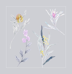 Flowers watercolor illustration.Manual composition.Big Set watercolor elements，Design for textile, wallpapers，Element for design,Greeting card