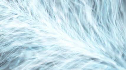 abstract white background resembling fluffy feathers