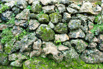green moss on stone