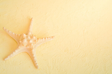 Fototapeta na wymiar White starfish close-up. Beach vacation concept, travel. Copy space, place for text. Selective focus, fog view