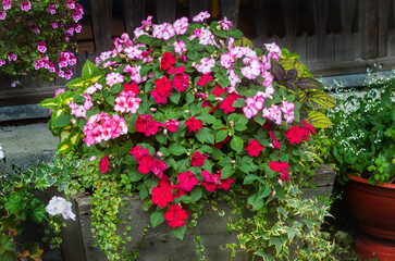 flower arrangement in a rustic courtyard. Bright flowers and decorative greenery