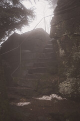 Der Bernstein im Nordschwarzwald bei Nebel