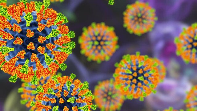Measles virus. 3D animation showing measles viruses with surface glycoprotein spikes heamagglutinin-neuraminidase (orange) and fusion protein (green) 