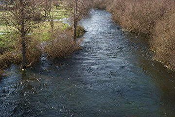 rzeka woda wiosna drzewa krajobraz rośliny  © Piotr