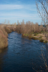 Fototapeta premium rzeka woda wiosna drzewa krajobraz rośliny 
