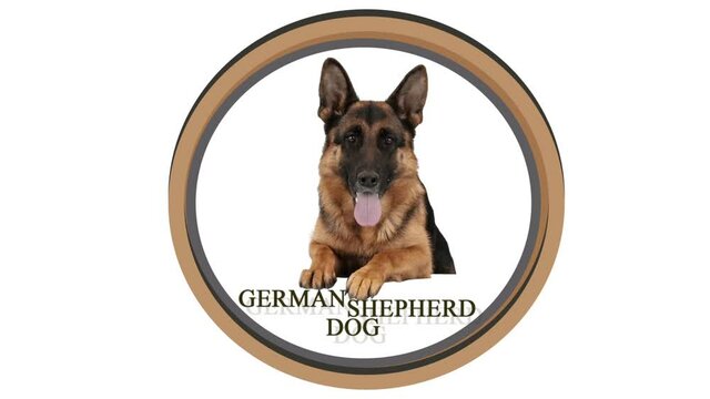 dog german shepherd logo video