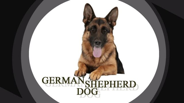 dog german shepherd logo