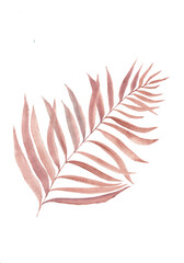 Bronze palm leaves watercolor. Hand made watercolor