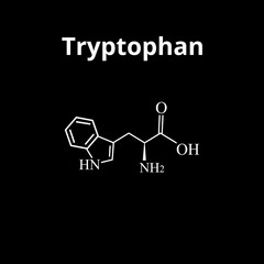 Tryptophan amino acid. Chemical molecular formula of tryptophan amino acid. Vector illustration on isolated background