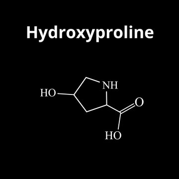 Amino acid Hydroxyproline. Chemical molecular formula Hydroxyproline amino acid. Vector illustration on isolated background