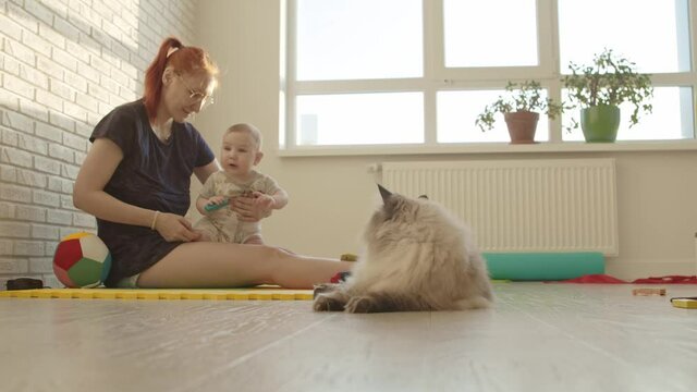 Mother and her little baby sitting on the mat and playing with toys - fluffy cat sitting near them