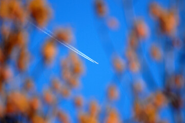 Airplane white trace on blue sky background