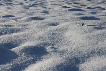 Fototapeta na wymiar footprints in snow