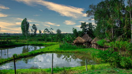 grass thatched houses near a pond