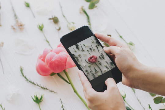 Hands holding phone and taking photo of stylish spring flowers flat lay. Blogging and social media