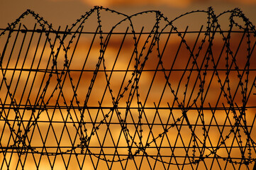 Barbed wire fence on sunset sky background