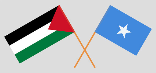 Fototapeta na wymiar Crossed flags of Palestine and Somalia. Official colors. Correct proportion