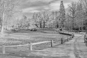 High Key image of Walkers on a frosty wooden country walkway