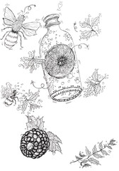 Monochrome picture by hand drawn technique with black ink on white paper. Conceptual line art show  “Raspberry honey soda” picture of lemon slices contained in a sealed bottle of soda represents the  