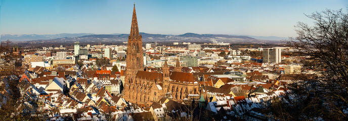 Freiburger Münster Panorama