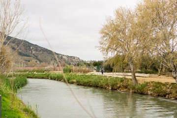 Fototapeta premium views of the segura river as it passes through cieza, murcia, spain