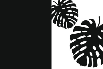 Tropical floral background. Special place for design and text. Black and white pattern