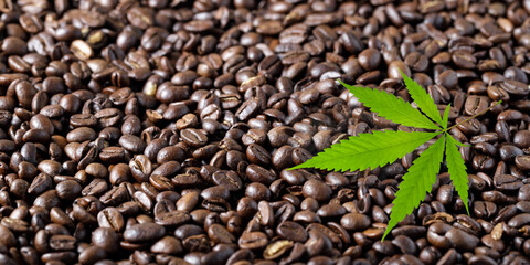 Cannabis leaf on dark background of coffee beans.