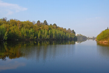 Obraz premium Forest trees reflections on the lake water surface