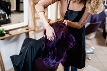 Beautiful hairstyle of young adult woman with purple hair in hair salon.