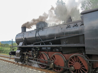 Obraz na płótnie Canvas moving steam locomotive