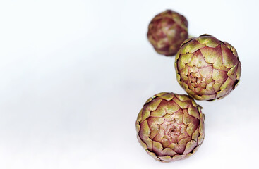 Obraz premium Artichoke flower,purple edible bud isolated on white background. Ripe artichokes floating levitating. Mediterranean Spanish and Italian cuisine healthy plant based diet superfoods concept. copy space