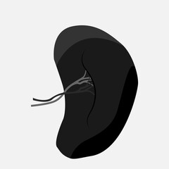 Icon of human internal organs. Icon made in growth style. The viscera of a man. Vector eps illustration.