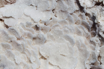 Pink salt in salt lake as textured background. Salt background.
