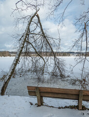 A bench by a frozen lake and a broken tree