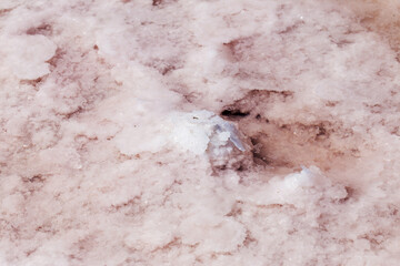 Fototapeta premium Pink salt in salt lake as textured background. Salt background.