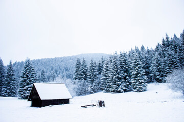 Small cottage in a winter snowy forest. Cabin in the woods in winter.