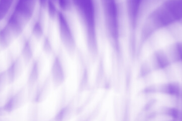 March 8 International Women's Day Purple zebra stripes 