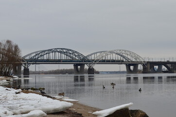 bridge over the river with ducks