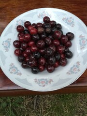 cherries on a plate