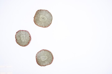 Pineberry slicees showing internal structure on white background.