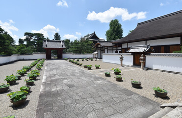 黄檗山萬福寺　開山堂から松隠堂客殿を望む　京都府宇治市