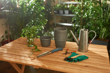 Rooted outgrowths in glass bank ready for transplantation