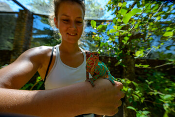 Cameleon © Michael
