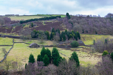 Fototapeta premium rolling hills in Yorkshire