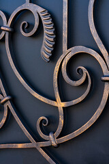 Exterior, private house, metal wrought iron gate, wrought iron gate decoration
