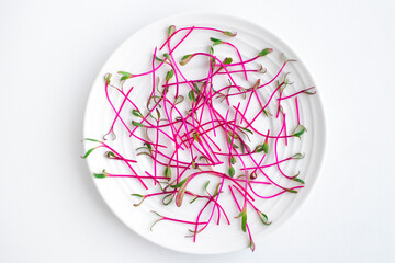 Microgreens, cut young sprouts of beets on a white plate on a white background. Healthy balanced diet concept.