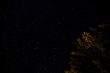 starry night sky