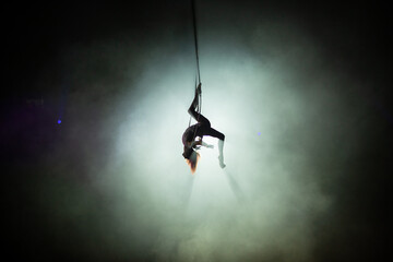 performances of artists under the dome of the circus - obrazy, fototapety, plakaty