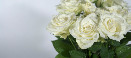 Bouquet of white roses with water drops